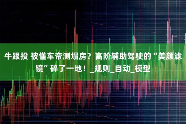 牛跟投 被懂车帝测塌房？高阶辅助驾驶的“美颜滤镜”碎了一地！_规则_自动_模型