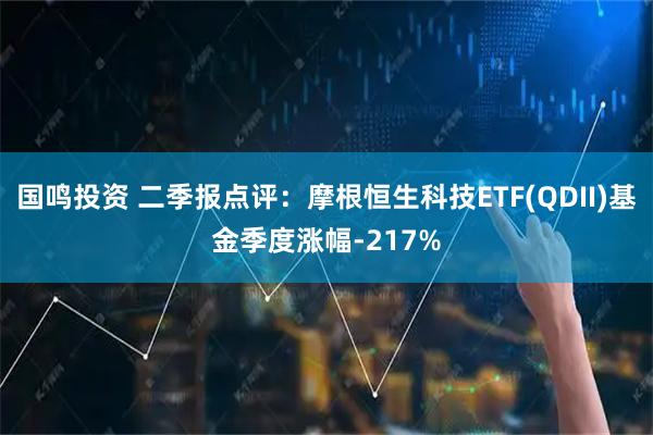 国鸣投资 二季报点评：摩根恒生科技ETF(QDII)基金季度涨幅-217%